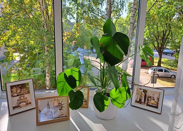 Turu 15 Apartment