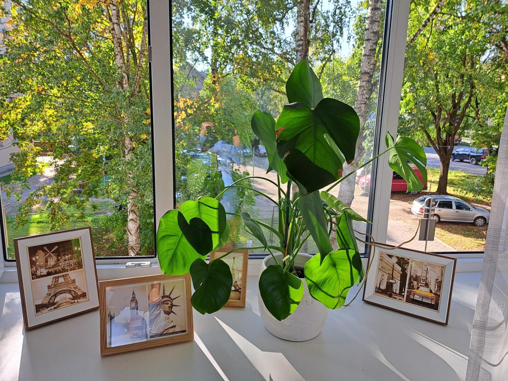 Turu 15 Apartment Tartu